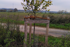IMG_20211106_100551