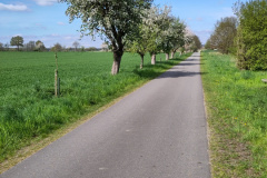 IMG_20230507_162203