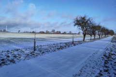 IMG_20240119_100259