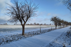 IMG_20240119_100317