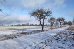 IMG_20240119_100419