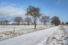 IMG_20240119_100649