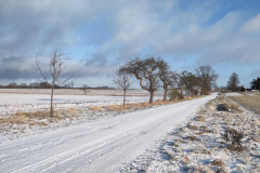 IMG_20240119_100901