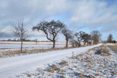 IMG_20240119_100916