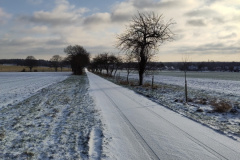 IMG_20240119_103006