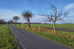 IMG_20240213_090702