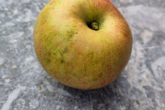 image1