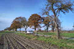 IMG_20231118_120810-1