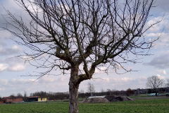 IMG_20200228_162152