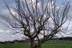 IMG_20200228_162200