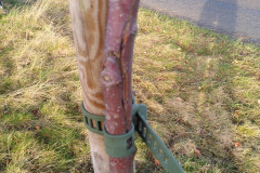 IMG_20201221_103348