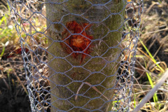 IMG_20201221_111831