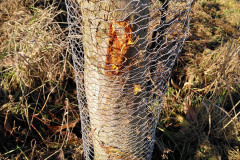 IMG_20201221_113037