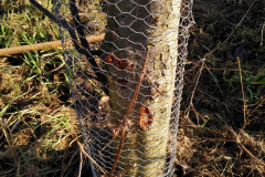 IMG_20201221_113046