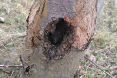 IMG_20210227_144906