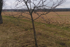 IMG_20210227_144927