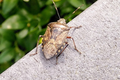 IMG_20211012_130957