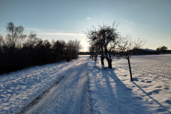 IMG_20240107_151103