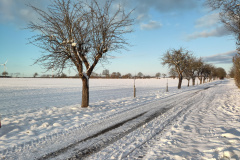 IMG_20240107_151831