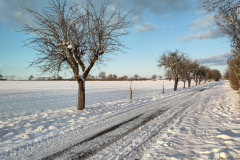 IMG_20240107_151835