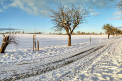 IMG_20240107_151906