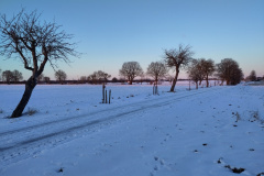 IMG_20240108_160102
