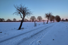 IMG_20240108_160115