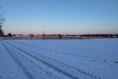 IMG_20240108_160219
