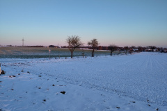 IMG_20240108_160334