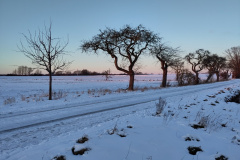 IMG_20240108_160542