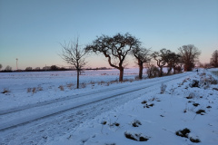 IMG_20240108_160554