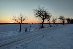 IMG_20240108_161531
