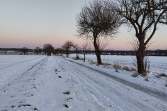 IMG_20240108_161756