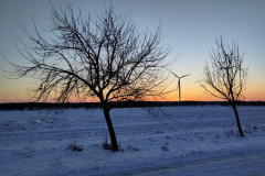 IMG_20240108_161946